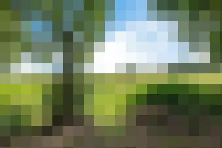 De Kubbing 4 Borger thumbnail 53