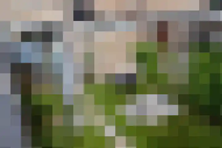 De Kubbing 4 Borger thumbnail 54