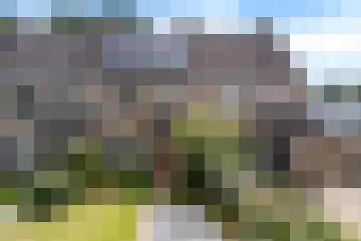 De Kubbing 4 Borger thumbnail 55
