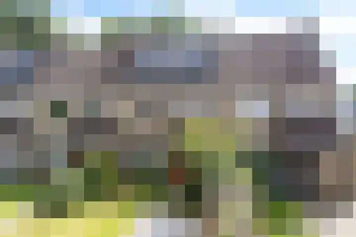 De Kubbing 4 Borger thumbnail 56