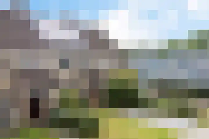 De Kubbing 4 Borger thumbnail 57