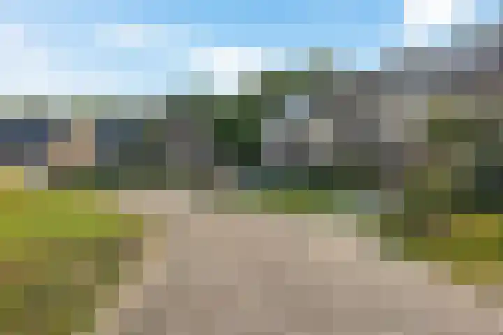 De Kubbing 4 Borger thumbnail 58