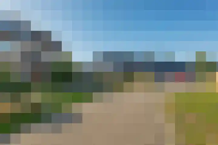 De Kubbing 4 Borger thumbnail 59