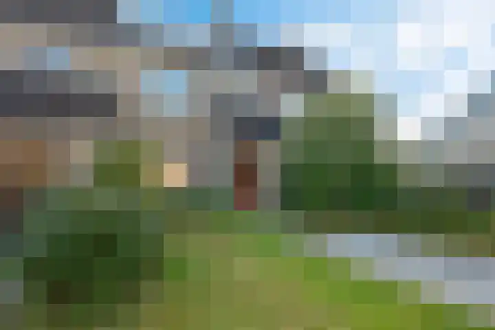 De Kubbing 4 Borger thumbnail 9