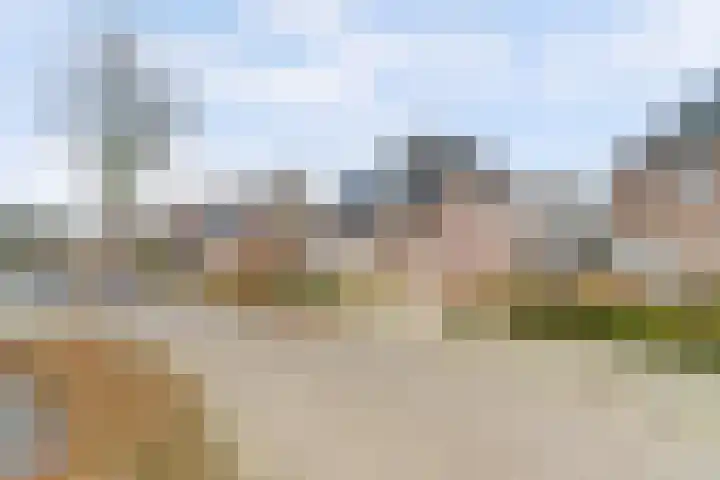 De Kuil 28 A Hapert thumbnail 64