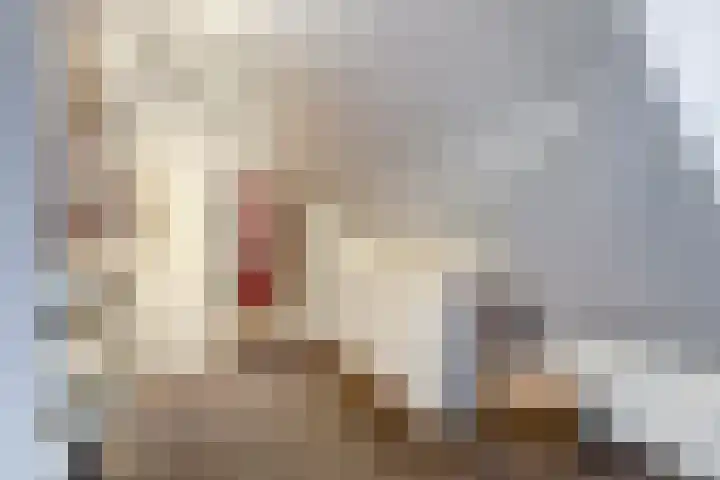 De Kuil 36 Hapert thumbnail 36