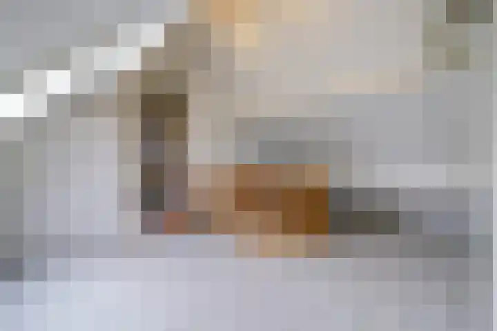 De Kuil 36 Hapert thumbnail 51