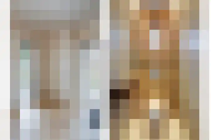 De Kuil 36 Hapert thumbnail 9