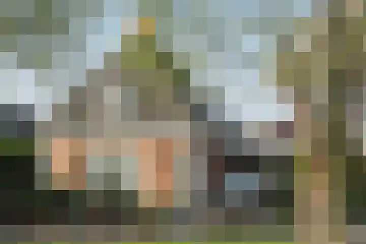 de Kuiper 11 Heeze