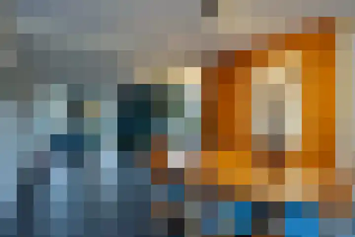 de Kuiper 11 Heeze thumbnail 12