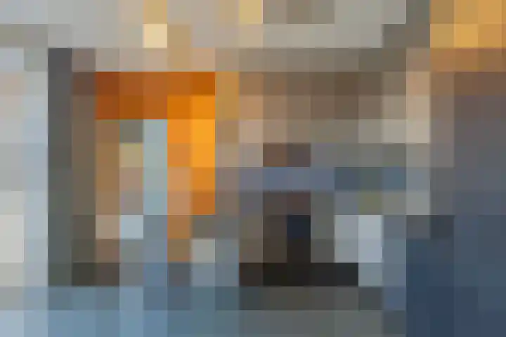 de Kuiper 11 Heeze thumbnail 15