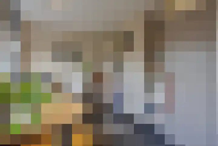 de Kuiper 11 Heeze thumbnail 16