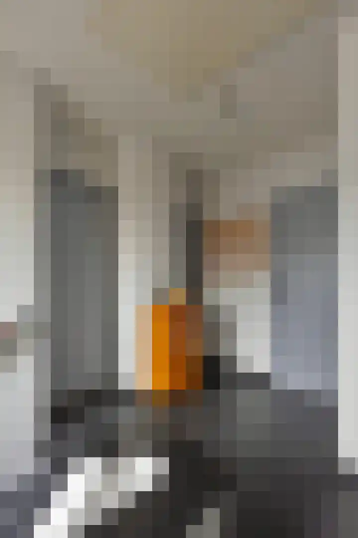 de Kuiper 11 Heeze thumbnail 20