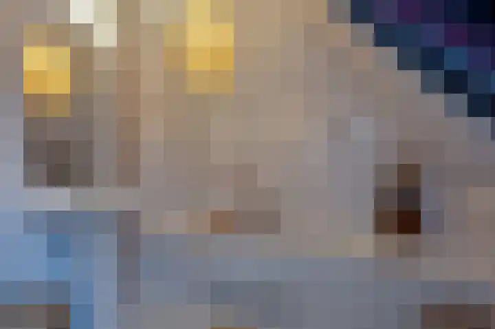 de Kuiper 11 Heeze thumbnail 24