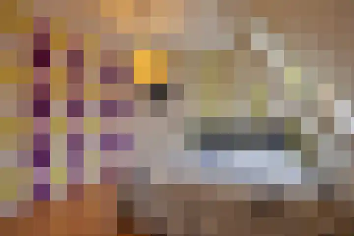 de Kuiper 11 Heeze thumbnail 25