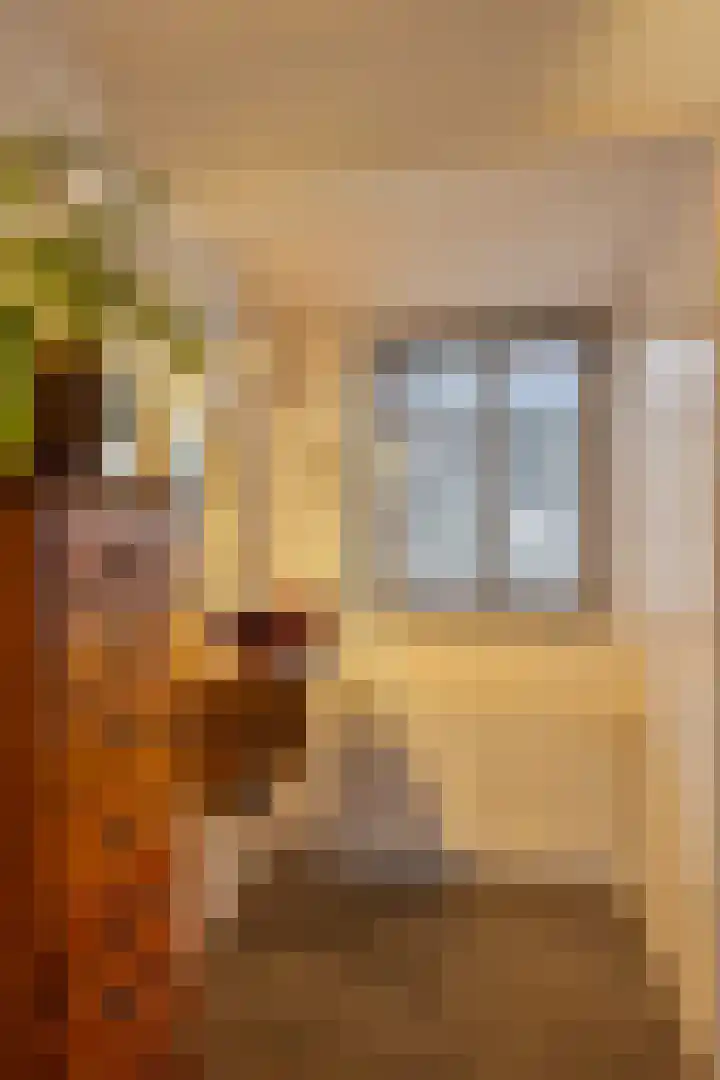 de Kuiper 11 Heeze thumbnail 27
