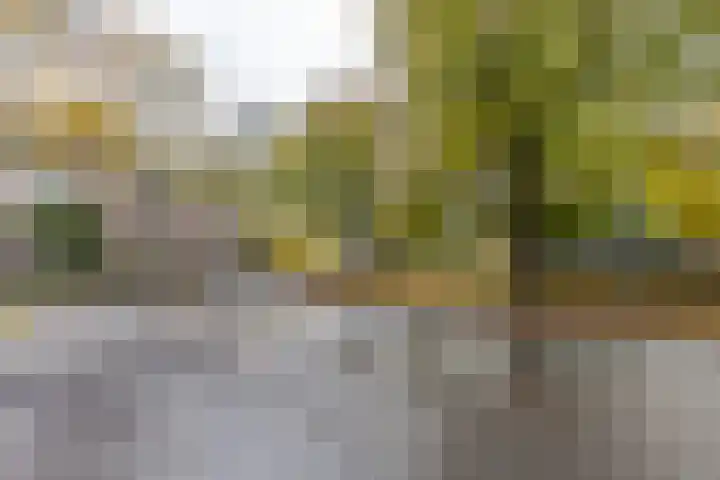 de Kuiper 11 Heeze thumbnail 28