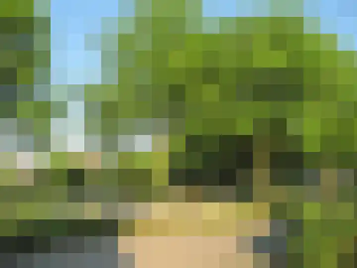 de Kuiper 11 Heeze thumbnail 30