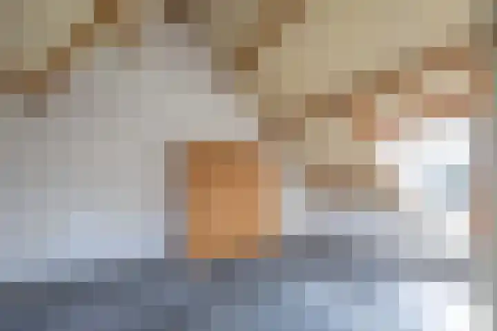 De Kuiper 11 Sevenum thumbnail 25