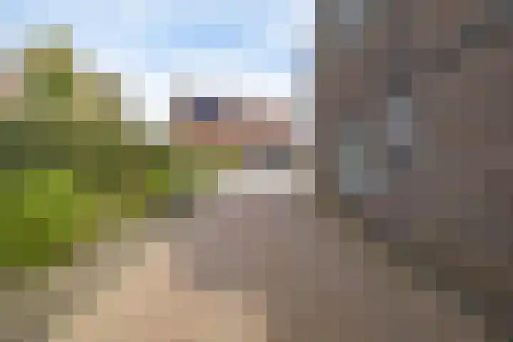 De Kuiper 11 Sevenum thumbnail 34