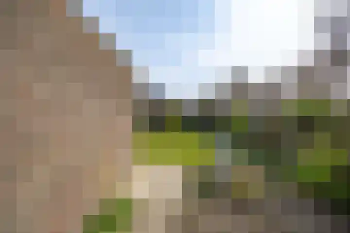 De Kuiper 11 Sevenum thumbnail 41