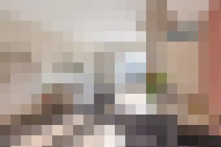 De Kuiperij 45 Oss thumbnail 10