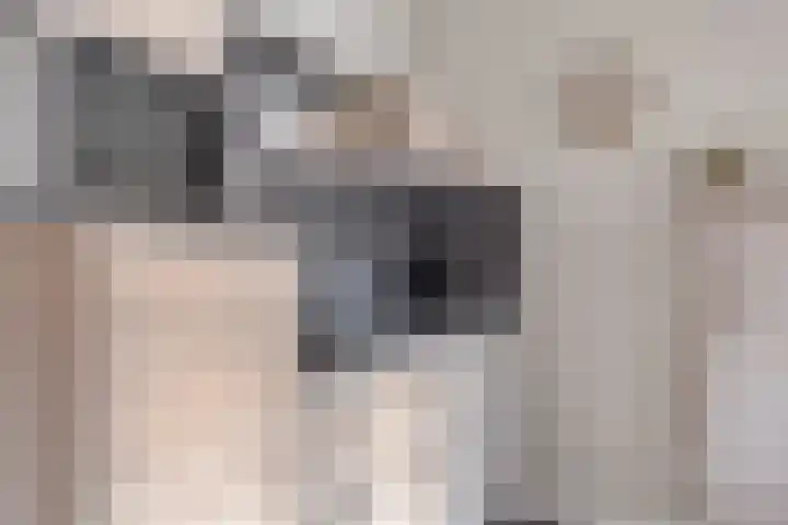De Kuiperij 45 Oss thumbnail 13