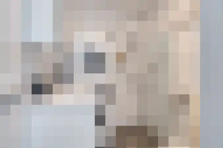 De Kuiperij 45 Oss thumbnail 15