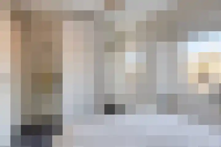 De Kuiperij 45 Oss thumbnail 17