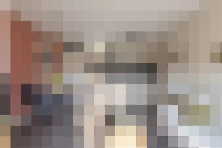 De Kuiperij 45 Oss thumbnail 9