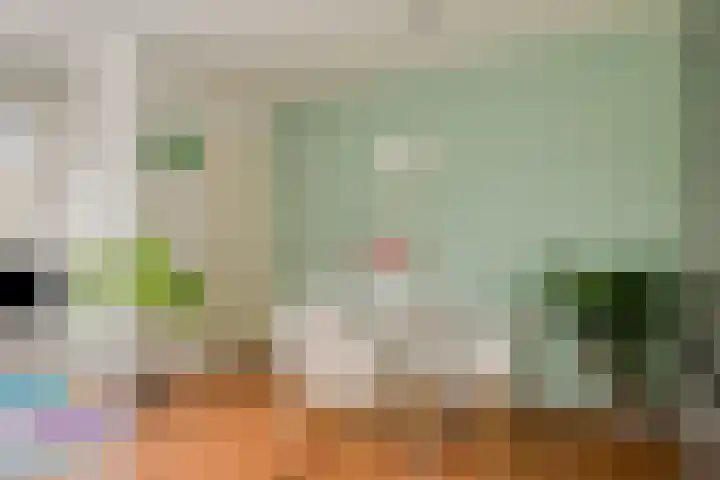 De Kuiperij 9 Oss thumbnail 12