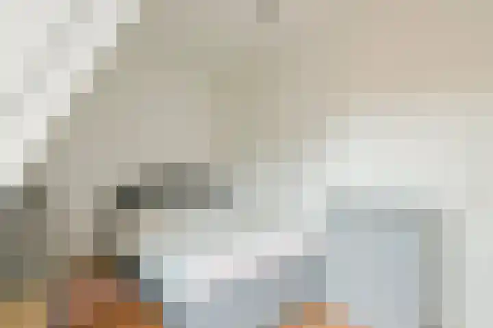 De Kuiperij 9 Oss thumbnail 19
