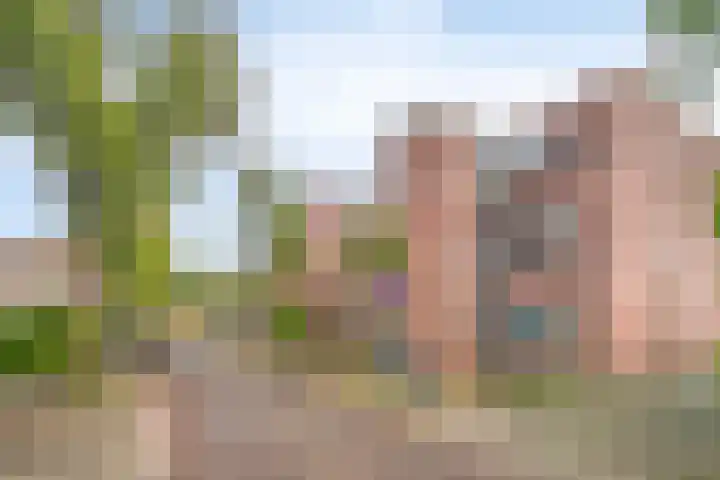 De Kuiperij 9 Oss thumbnail 22