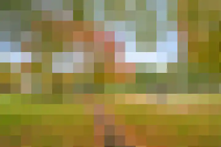 De Kuiperij 9 Oss thumbnail 23