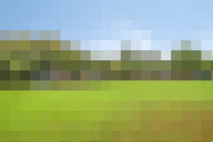 De Kuiperij 9 Oss thumbnail 25
