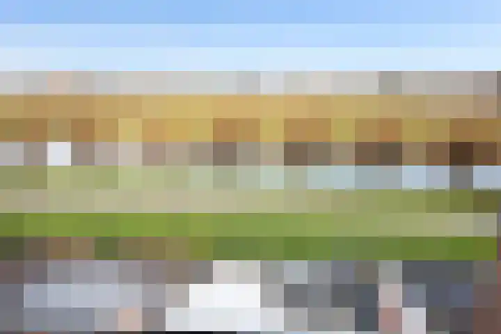 De Kust 29 Volendam thumbnail 39