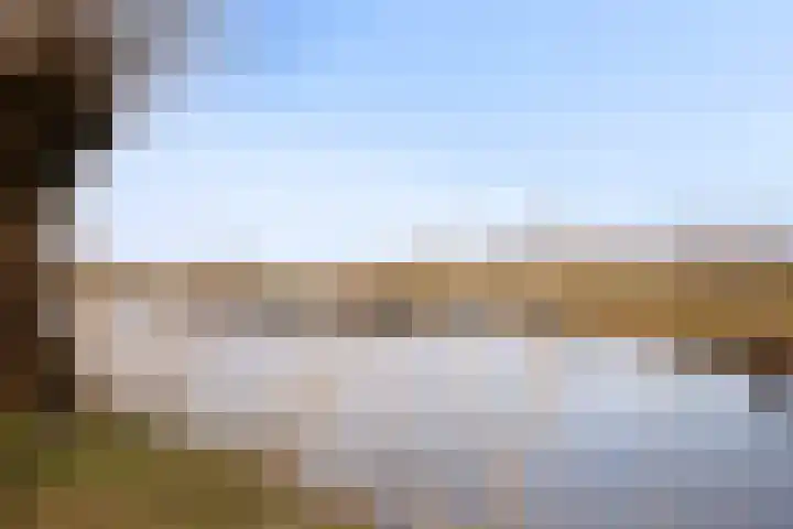 De Kust 29 Volendam thumbnail 45