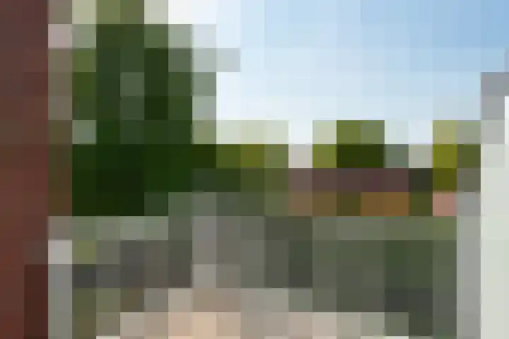 de Kwekerij 52 Baarn thumbnail 11