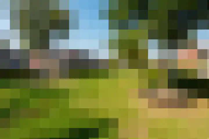 de Kwekerij 52 Baarn thumbnail 27