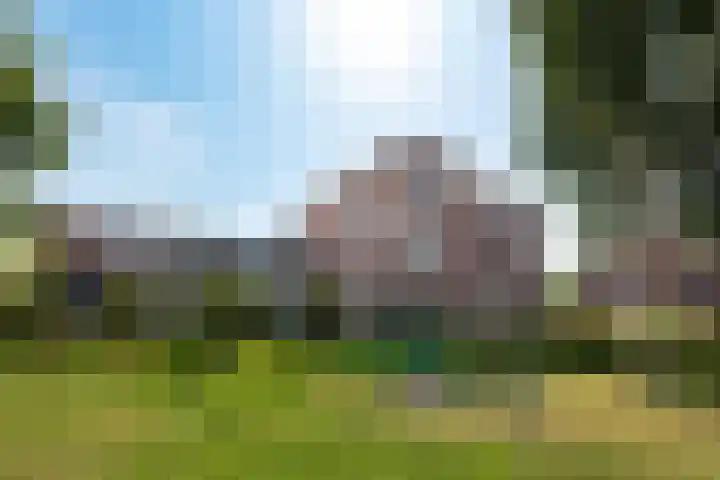 de Kwekerij 52 Baarn thumbnail 4