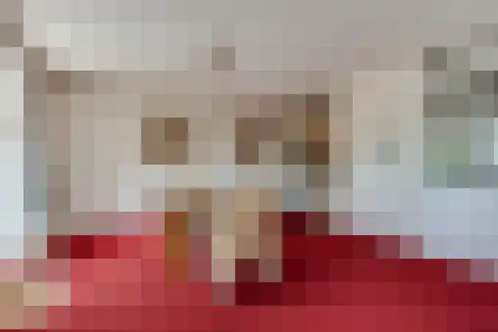 de Kwekerij 52 Baarn thumbnail 8