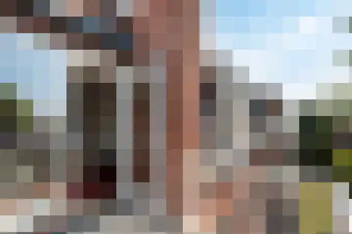 de Kwekerij 52 Baarn thumbnail 9