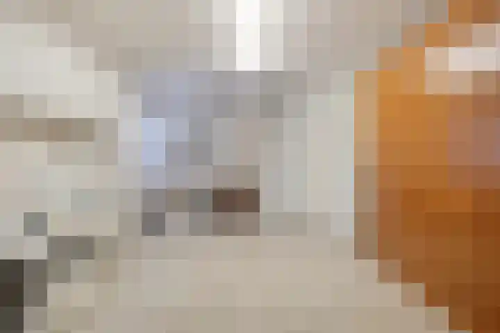 De Kwikstaart 22 Budel thumbnail 17