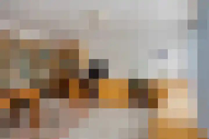 De Kwikstaart 22 Budel thumbnail 20