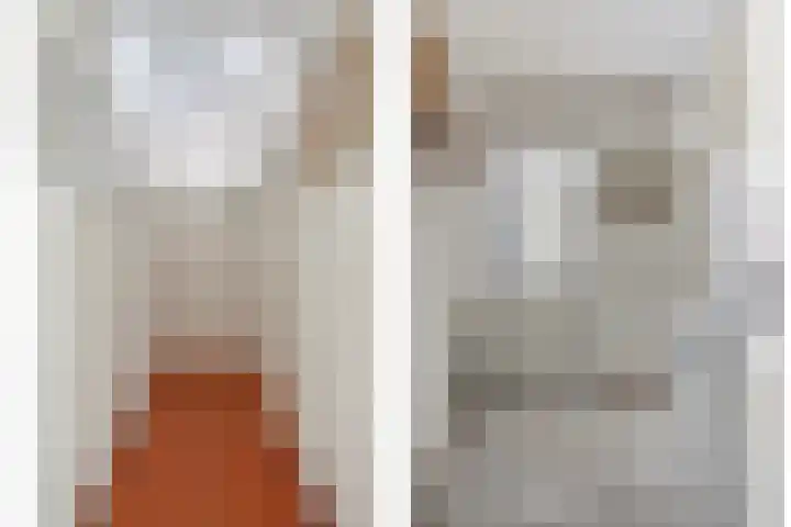 De Kwikstaart 22 Budel thumbnail 9