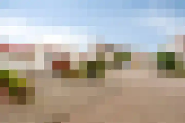 De Kwikstaart 24 Budel thumbnail 11