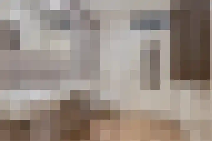 De Kwikstaart 24 Budel thumbnail 13
