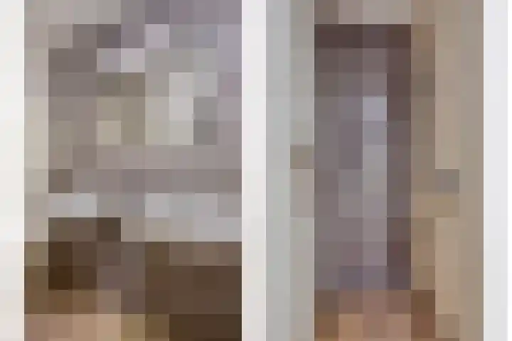 De Kwikstaart 24 Budel thumbnail 14