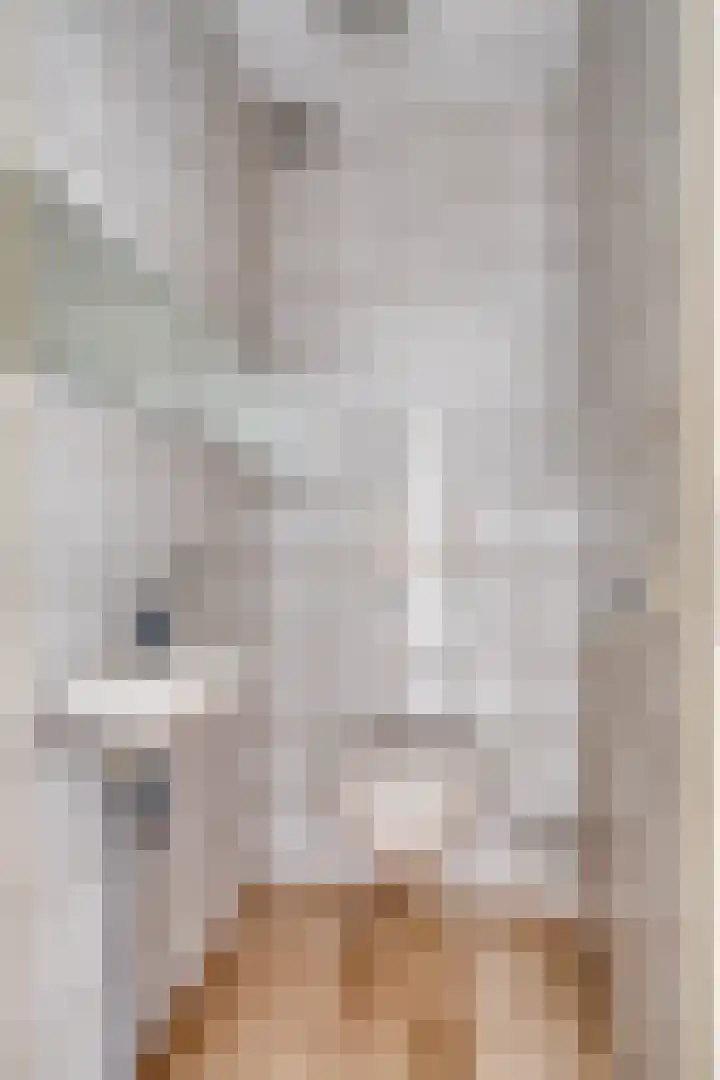 De Kwikstaart 24 Budel thumbnail 15