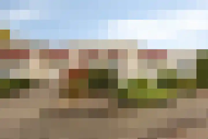 De Kwikstaart 24 Budel foto 2